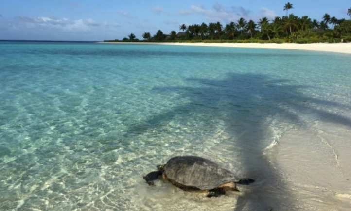 Quand luxe et écologie font cause commune Quand luxe et écologie font cause commune