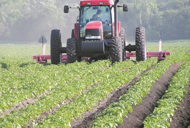 Les résultats de la campagne agricole boostent la croissance économique Les résultats de la campagne agricole boostent la croissance économique