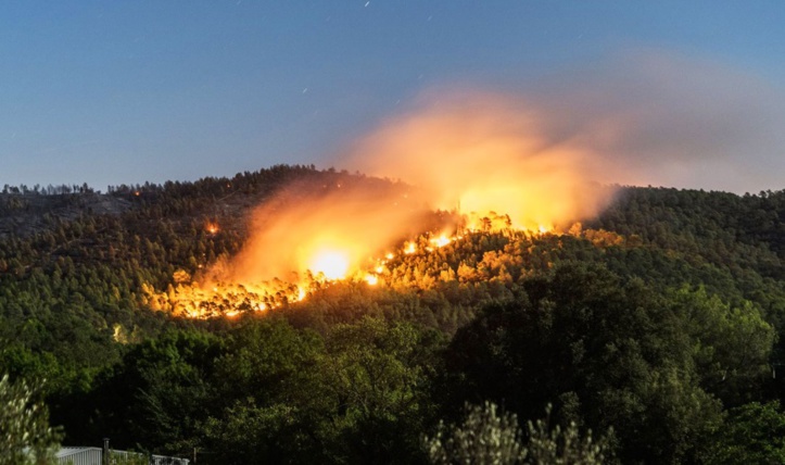 ​Plus de 320 incendies de forêts déclarés depuis le début de l'année