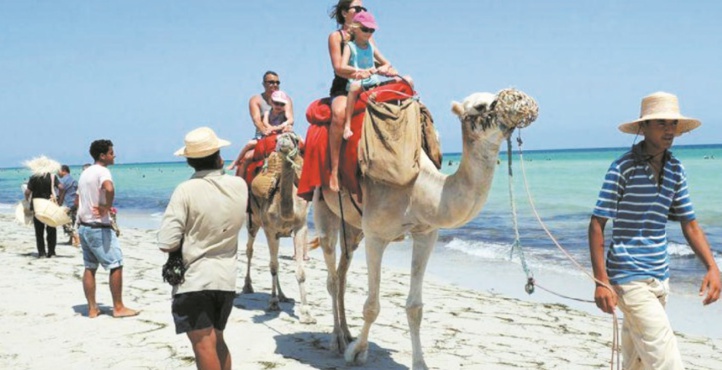 Le tourisme a contribué pour 7 % au PIB national Le tourisme a contribué pour 7 % au PIB national