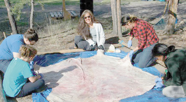 Tannage des peaux au Canada pour préserver l'héritage ancestral des Amérindiens Tannage des peaux au Canada pour préserver l'héritage ancestral des Amérindiens