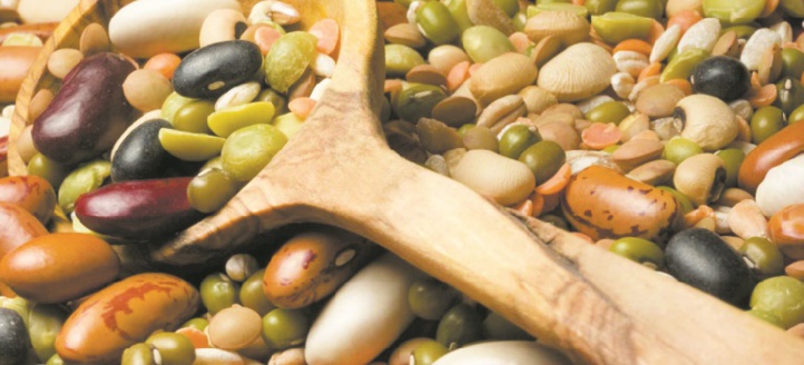 La région de Casablanca-Settat au top en matière de production de céréales et de légumineuses La région de Casablanca-Settat au top en matière de production de céréales et de légumineuses