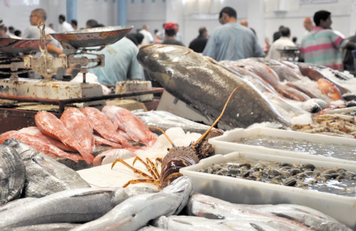 Causes et conséquences du mercure dans le poisson Causes et conséquences du mercure dans le poisson