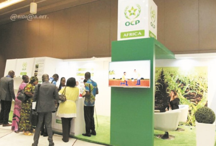 “OCP Africa” aspire à une agriculture moderne et créatrice de valeur en Afrique “OCP Africa” aspire à une agriculture moderne et créatrice de valeur en Afrique
