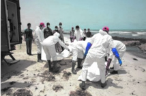 Démantèlement d’un réseau d’immigration clandestine opérant depuis Laâyoune Démantèlement d’un réseau d’immigration clandestine opérant depuis Laâyoune