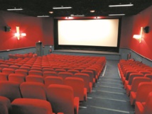 Des professionnels du 7ème art appellent à la valorisation du dispositif de soutien à la production Des professionnels du 7ème art appellent à la valorisation du dispositif de soutien à la production