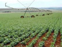 Agriculture : le virage Agriculture : le virage