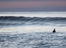 Le "thermomètre" des paléoclimatologues sur la sellette Le "thermomètre" des paléoclimatologues sur la sellette