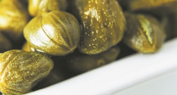 La câpre au niveau de Safi contribue à hauteur de 38% de la production nationale La câpre au niveau de Safi contribue à hauteur de 38% de la production nationale