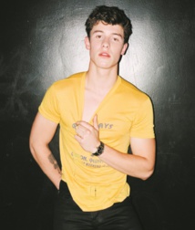 Shawn Mendes grand gagnant des MTV Europe Music Awards