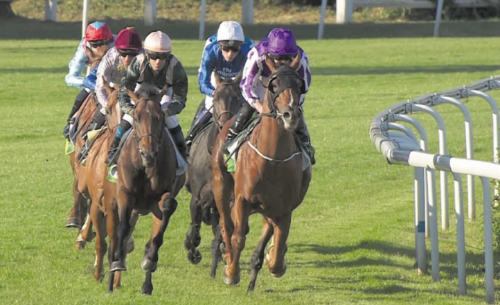 Le Meeting international du Maroc, l'occasion de mettre en avant la filière des courses de chevaux Le Meeting international du Maroc, l'occasion de mettre en avant la filière des courses de chevaux