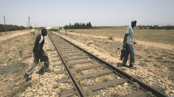 Extirpés du train et abandonnés en pleine nature. Extirpés du train et abandonnés en pleine nature.