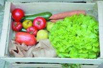 Impossible de passer à une agriculture 100% bio sans changements majeurs