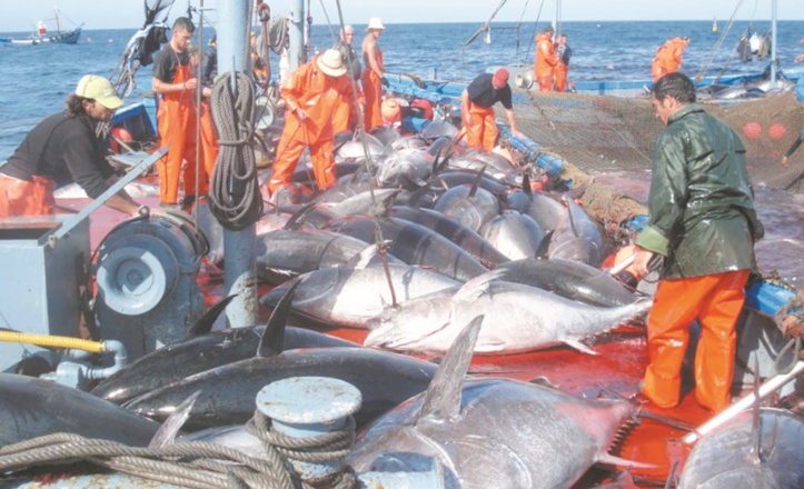 Nouvelles normes de travail dans l’industrie de la pêche