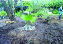 L’invention vent d’être brevetée : “Nouvelle méthode d’irrigation en sous-sol” L’invention vent d’être brevetée : “Nouvelle méthode d’irrigation en sous-sol”