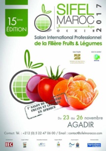 La région de Souss-Massa exporte au niveau national plus de 86% de primeurs et plus de 96% de tomates
