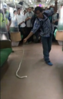 Insolite : Héros des réseaux sociaux Insolite : Héros des réseaux sociaux