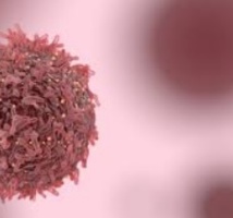 La détection précoce du cancer de la prostate augmente les chances de guérison