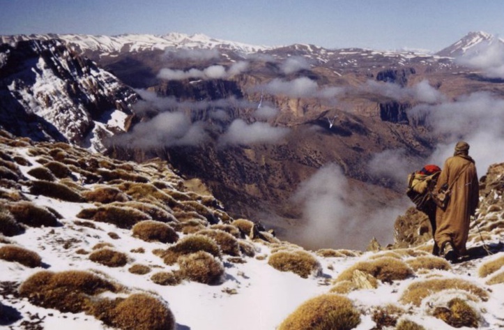 La vague de froid ou l’éternel combat La vague de froid ou l’éternel combat