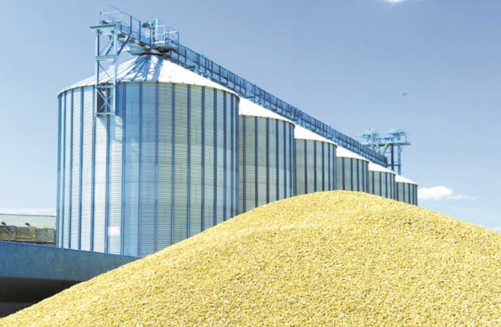 Légère baisse des prix mondiaux des produits alimentaires en novembre Légère baisse des prix mondiaux des produits alimentaires en novembre