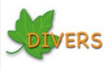 Divers