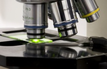 Nouvelle avancée dans l'édition génétique pour traiter des maladies incurables Nouvelle avancée dans l'édition génétique pour traiter des maladies incurables