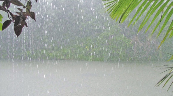 La pluviométrie frôle “la panne sèche’’ La pluviométrie frôle “la panne sèche’’