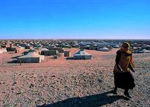 Le Polisario éclaboussé par un scandale de mœurs : Une fonctionnaire du HCR victime d'un viol collectif à Tindouf Le Polisario éclaboussé par un scandale de mœurs : Une fonctionnaire du HCR victime d'un viol collectif à Tindouf