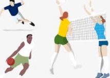 Saison probante pour les sports collectifs au Maroc Saison probante pour les sports collectifs au Maroc