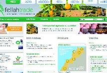 Le Crédit agricole lance son nouveau portail Le Crédit agricole lance son nouveau portail