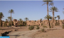 Les oasis, source de vie dans les régions est et sud-est du Royaume Les oasis, source de vie dans les régions est et sud-est du Royaume