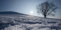Doublement des chutes de neige en Alaska