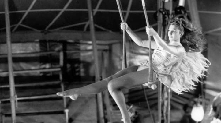 Insolite : Homicide involontaire Insolite : Homicide involontaire