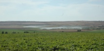 Le projet d'irrigation de la zone Chtouka en eau de mer dessalée sur la bonne voie