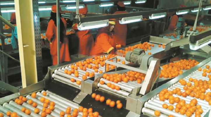 Bon comportement des exportations du secteur agricole à fin novembre Bon comportement des exportations du secteur agricole à fin novembre