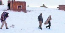 La vague de froid ou l’éternel combat