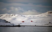Un reptile carnivore vivait en Antarctique voici 150 millions d'années Un reptile carnivore vivait en Antarctique voici 150 millions d'années