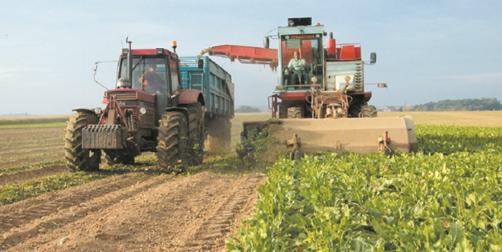 La croissance de l’économie nationale à la croisée des chemins La croissance de l’économie nationale à la croisée des chemins