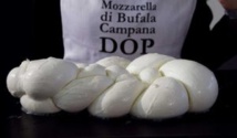 Insolite : Guerre  des mozzarella