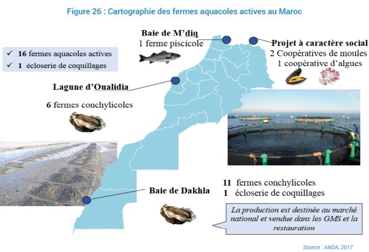 L’aquaculture marocaine en phase de décollage L’aquaculture marocaine en phase de décollage