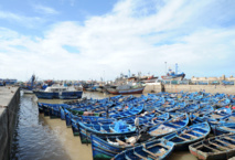 Le problème du trafic de poisson refait surface à Essaouira