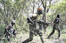 13 morts dans une attaque à Ziguinchor au Sénégal 13 morts dans une attaque à Ziguinchor au Sénégal