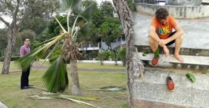 Insolite : Dépité par une séparation Insolite : Dépité par une séparation