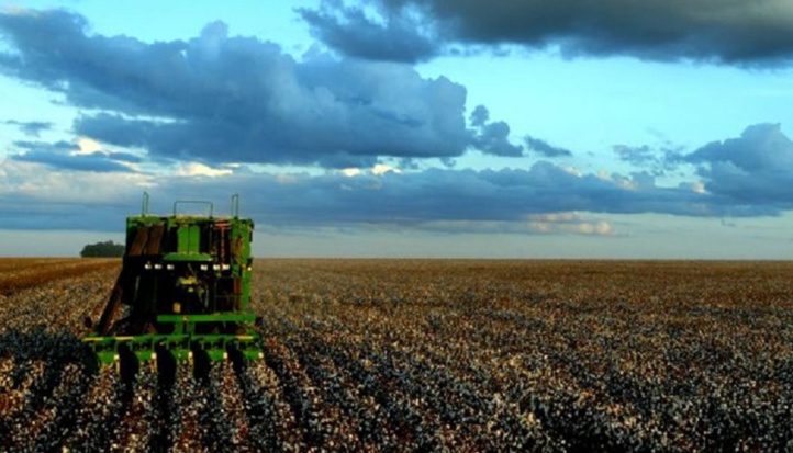 Pas d’impact négatif sur la campagne agricole en dépit du retard des pluies dans la région Casablanca-Settat Pas d’impact négatif sur la campagne agricole en dépit du retard des pluies dans la région Casablanca-Settat