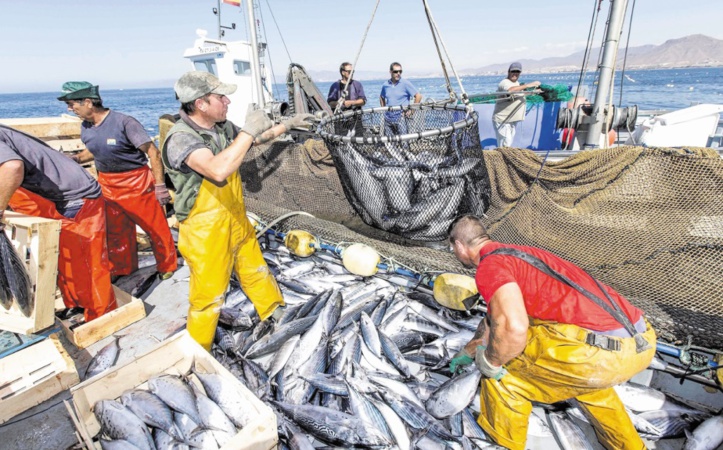Feu vert pour le renouvellement de l’accord de pêche Maroc-UE