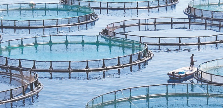 L’aquaculture, un relais de croissance du secteur halieutique L’aquaculture, un relais de croissance du secteur halieutique