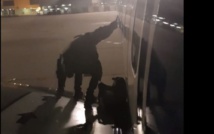 Insolite : Prendre place sur l'aile de l’avion Insolite : Prendre place sur l'aile de l’avion