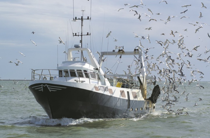 La position de l’avocat général de la CJUE exaspère les pêcheurs espagnols La position de l’avocat général de la CJUE exaspère les pêcheurs espagnols