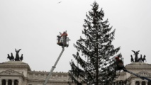 Insolite : Arbre de Noël déplumé Insolite : Arbre de Noël déplumé