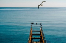 La salinité de la mer Noire déstabilise les fonds marins La salinité de la mer Noire déstabilise les fonds marins